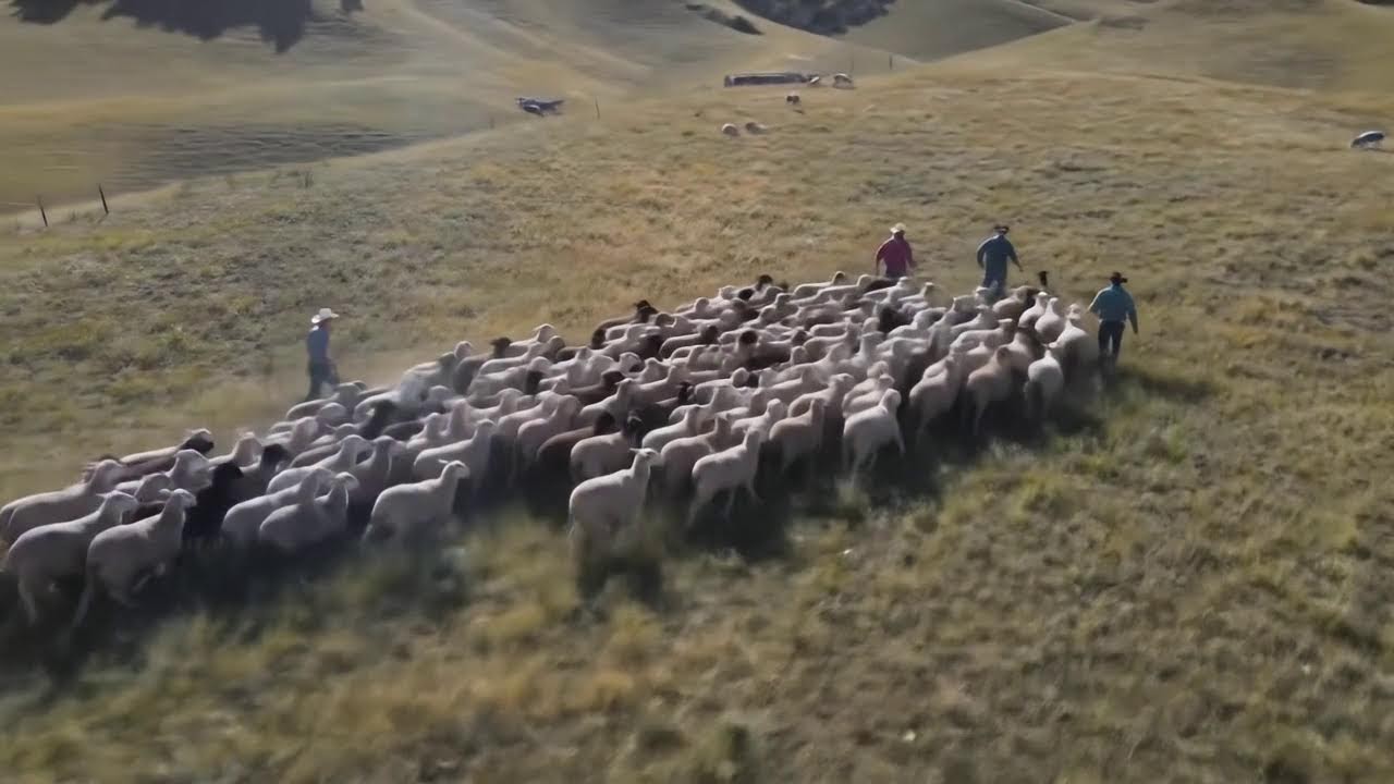 Best Country Love Songs | Country Love Songs You Can Feel