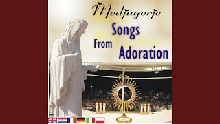 Miniatura de "Choir Queen of Peace Medjugorje - O Christe Domine Jesu"