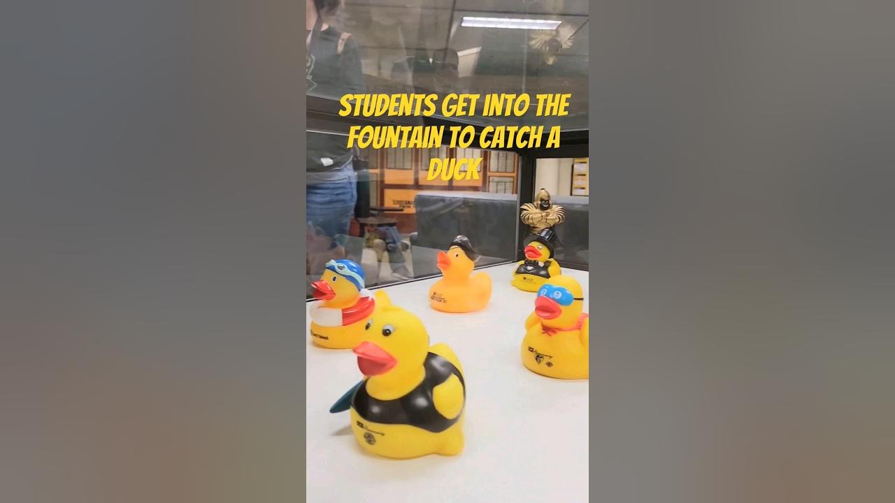 UCF Spirit Splash ducks collection 20022023 YouTube