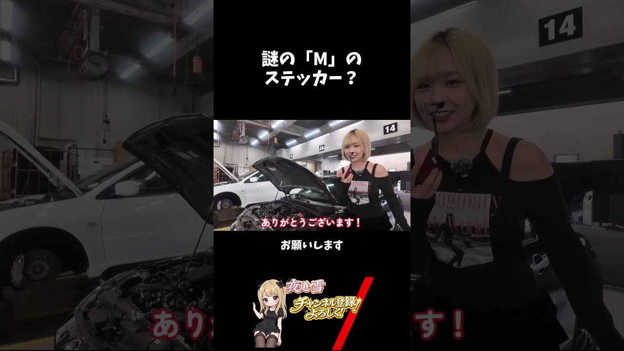 謎の「M」のステッカー？