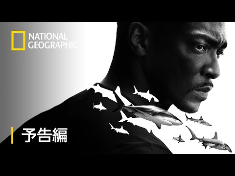 シャーク・ビーチ：ガルフ・コースト with アンソニー・マッキー – 予告編  | ナショジオ