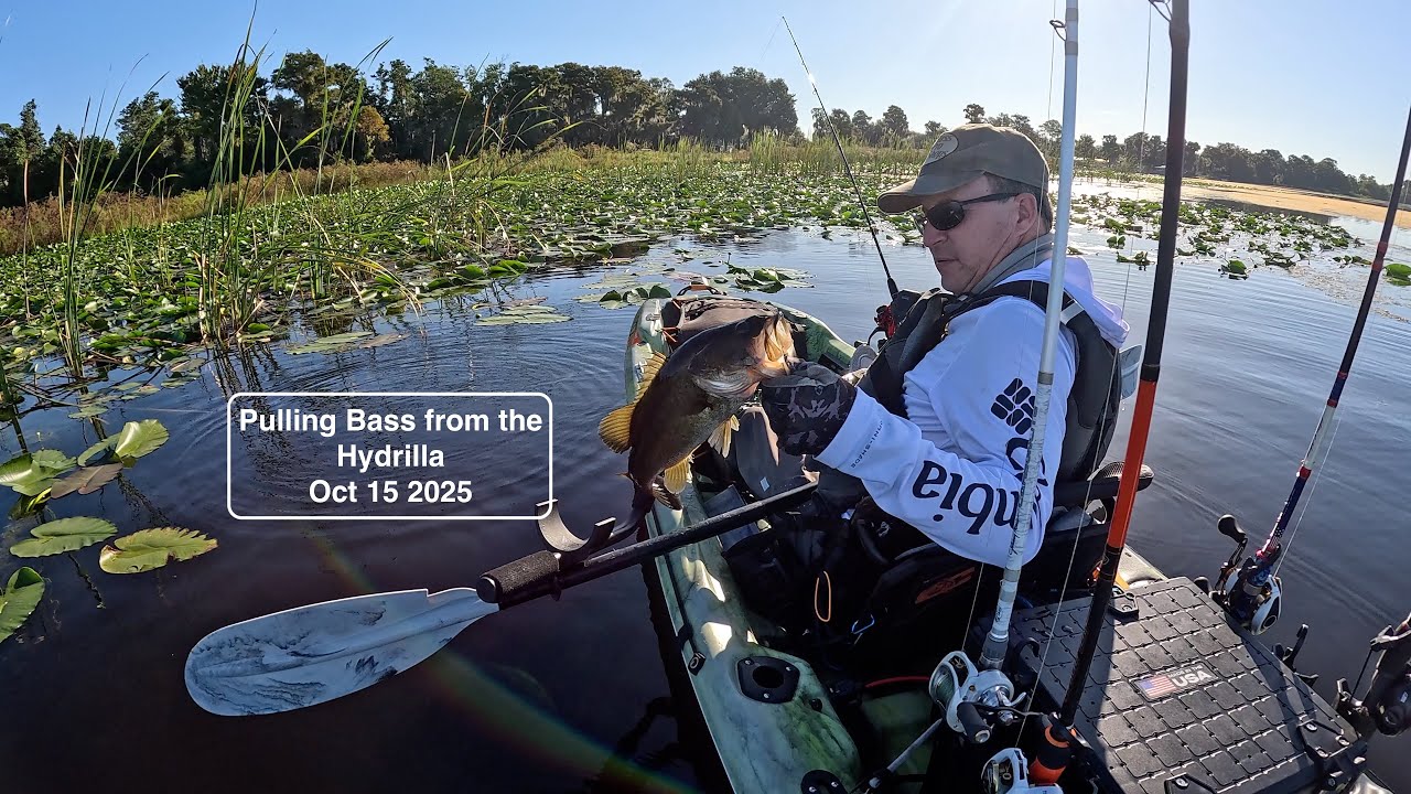 Kayak Bass Fishing Polk County Florida