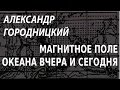 ACADEMIA. Александр Городницкий. Магнитное поле океана вчера и сегодня. Канал Культура