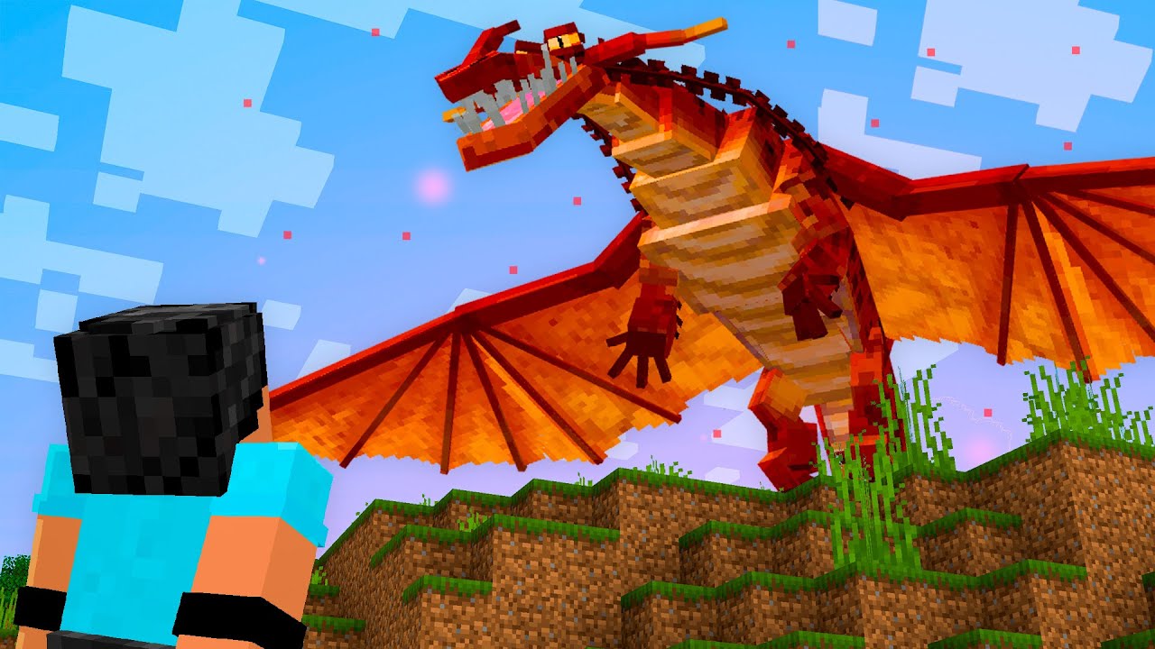 24 H pra DOMESTICAR o NOVO DRAGÃO TRANSFORMASA