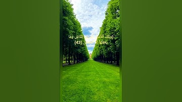 {وَتِلۡكَ ٱلۡأَمۡثَٰلُ نَضۡرِبُهَا لِلنَّاسِۖ}سورة العنكبوت.عبد الرحمن مسعد#قرآن#قران_كريم #ارح_قلبك
