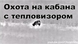 Охота на кабана с тепловизором видео 2012-2013 Wild boar hunting in Russia. Охота на кабана с тепловизором видео 2012-2013 Wild boar hunting in Russia.