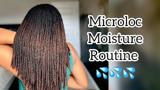 Updated Microloc Moisture Routine | Conditioners and Steam treatments