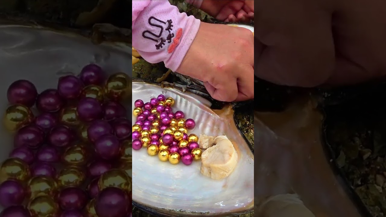 A woman picked up a century old golden pearl while collecting pearls