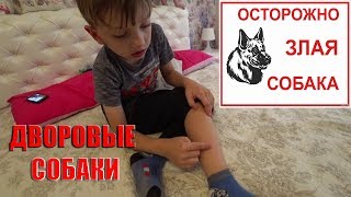 VLOG : АНДРЮШКУ УКУСИЛА СОБАКА 17.07.18 VLOG : АНДРЮШКУ УКУСИЛА СОБАКА 17.07.18
