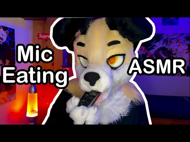 [Furry ASMR] Ear Noms Just For You