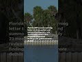Indian River County paused consideration of buying a Sebastian property after mangrove-removal