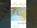 جلوس میلاد کے نعرے جلوس میلاد کے نعرے
