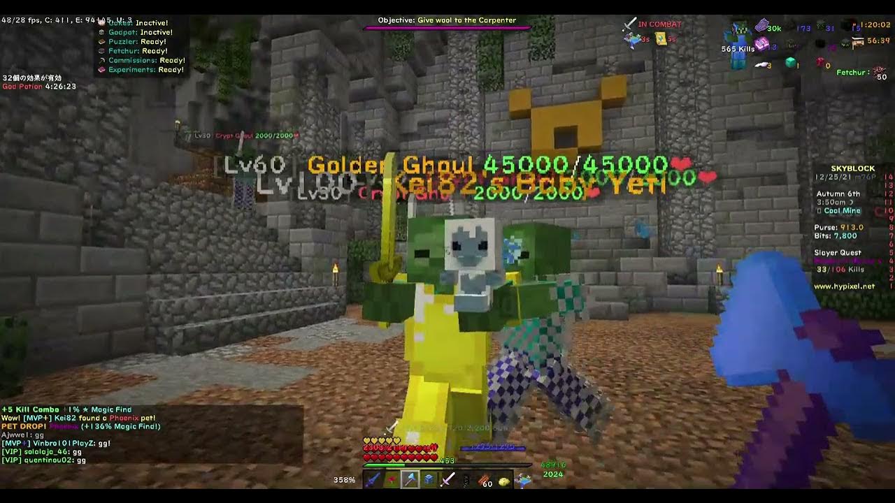 phoenix pet drop (hypixel skyblock) YouTube