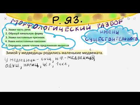 Морфологический разбор существительного