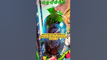 जीवन मे बहुत दुःख कष्ट तकलीफ है तो शमीपत्र की 108 पत्ती का महाउपाय #shorts #youtube #shami #trending