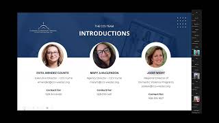 Breaking the Cycle: Support Services to Victims of Domestic Violence Webinar