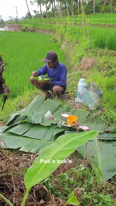 anak lanang || story wa 30 detik || #storywa #trending #foryou