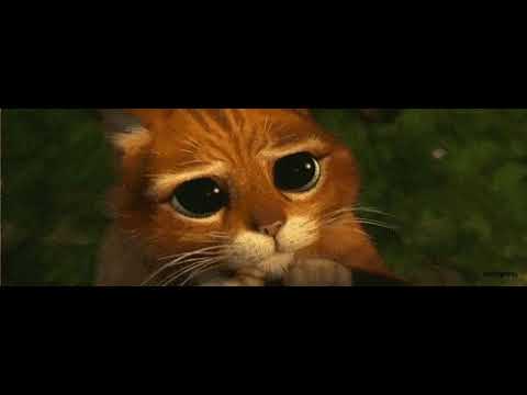 Gato con botas ojos kawaii - YouTube