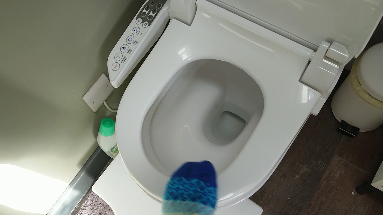 Japanese toilet YouTube