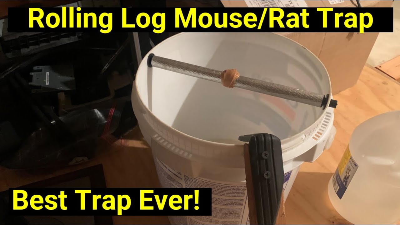 RINNECORP - Rolling Log Mouse Trap - Multi Catch 5 Gallon Bucket Pest  Control Trap - Easy Setup- No Drilling Necessary