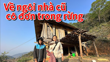 EM QUÂN 14 TUỔI TRỞ LẠI NGÔI NHÀ CÔ ĐƠN TRONG RỪNG .HẠ SƠN NHỮNG CON VẬT NUÔI . NHƯ LÀ NGƯỜI BẠN.