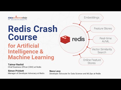 Redis Crash Course for Artificial Intelligence & Machine Learning