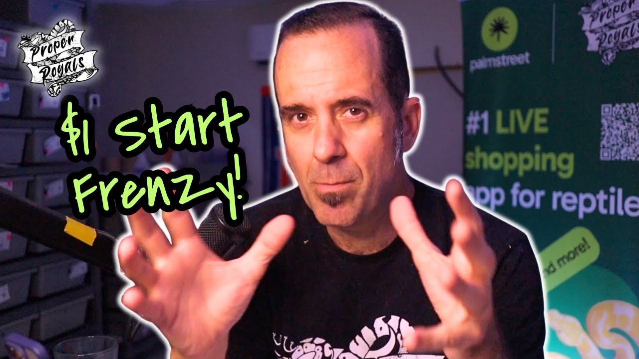 5 Secrets to Winning Live Auctions on PalmStreet (Reptile Sellers Guide)