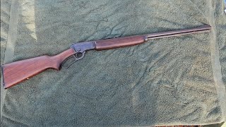 Marlin 39A Best 22 rifle ever?