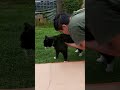 #katzen