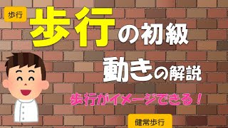 【正常歩行】歩行の動きの解説動画