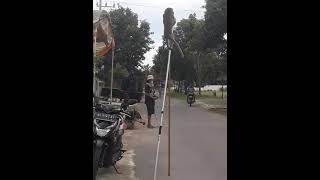 Topeng Monyet//Kledek Kethek #Shorts@Armedda Channel