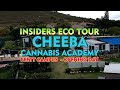 OPENING DAY - Cheeba Cannabis Academy - Plett Campus