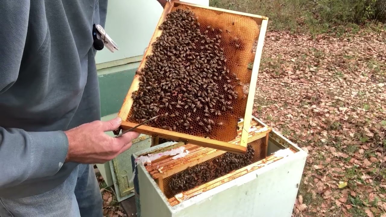 contrôle de deux réunions + erreur à éviter + autres réunions + blabla