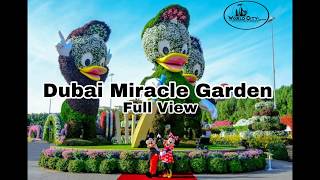 Dubai Miracle Garden Full View । दुबई का मिरेकल गार्डन । Worldcity Tourism