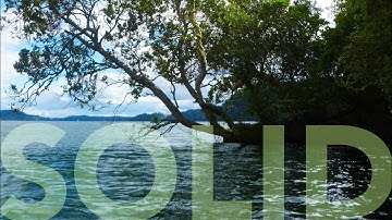 Solid by Redundant Technology 2019 (Official Video)