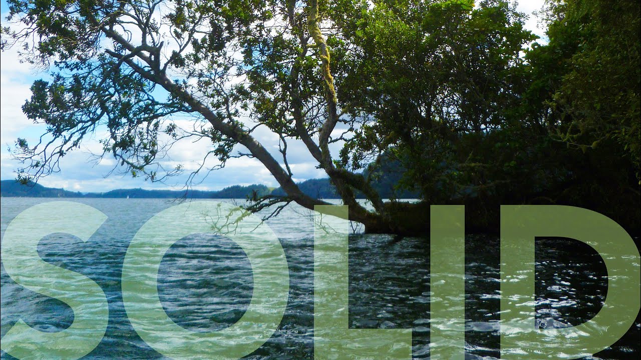 Solid by Redundant Technology 2019 (Official Video)