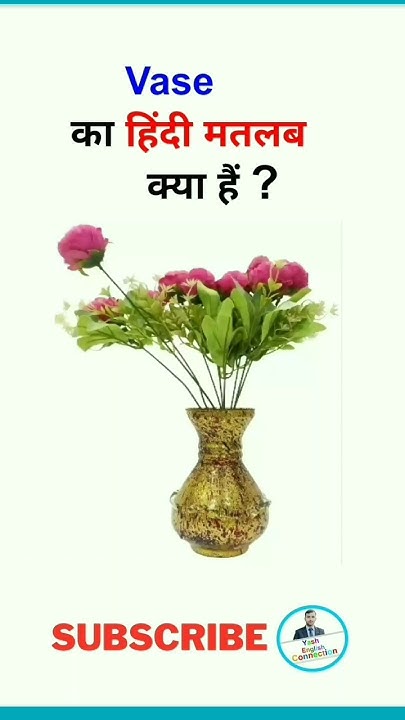 vase-meaning-in-hindi-vase-ka-hindi-matlab-kya-hai-vase-meaning