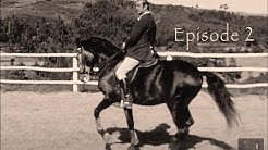 Web-Série 🇫🇷 🇬🇧 L'ÉNIGME DES MAÎTRES #S1 Ep2 - Il n'y a pas d'arbre sans RACINES (english subtitled)
