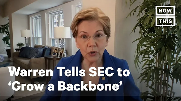 Elizabeth Warren Calls Out SEC After GameStop Cont...
