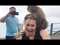 Funny Animals With People  😂🔥 Try Not To Laugh | Hilarious Fail Videos 2020