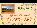 プリンセス・ワルツ