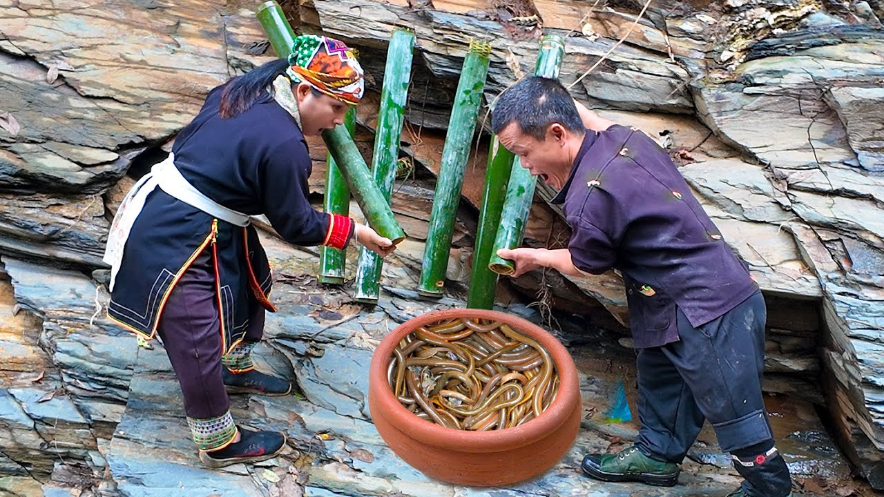 Dwarf Family Makes Traps and Catches Eels in Crevices of Rocks - Primitive Life