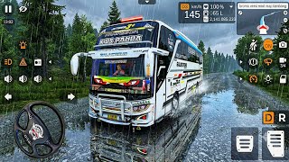 Bus Kids Panda Galactis Swerving Through Muddy Rainy Road In Bromo || Bussid Gameplay screenshot 5