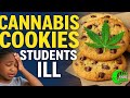 🍪 Cannabis Cookies in School? Chicago Students Fall Ill – The Full Story
