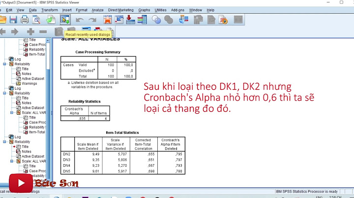 Hệ số cronbach alpha sử dụng cho thang đo nào năm 2024