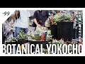 【ボタニカル横丁】植物の街で開かれたビザールプランツ縁日|アガベ/塊根植物/サボテン|其の弍
