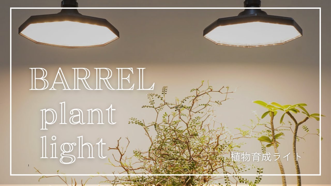太陽光 LED LIGHT BARREL PLANT LIGHT 植物育成ライト専門店「BARREL」 - YouTube