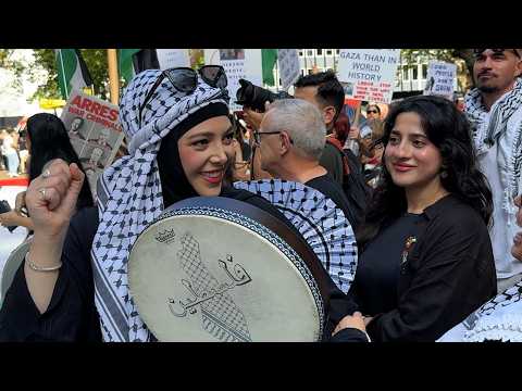 ARREST HERZOG: the peaceful Sydney protest that ended in broken bones