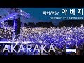 [연세대 아카라카] 싸이 '아버지' 떼창 @ AKARAKA / 연세대 축제 PSY 'Father'