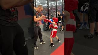 Young Boxer6 Years Old